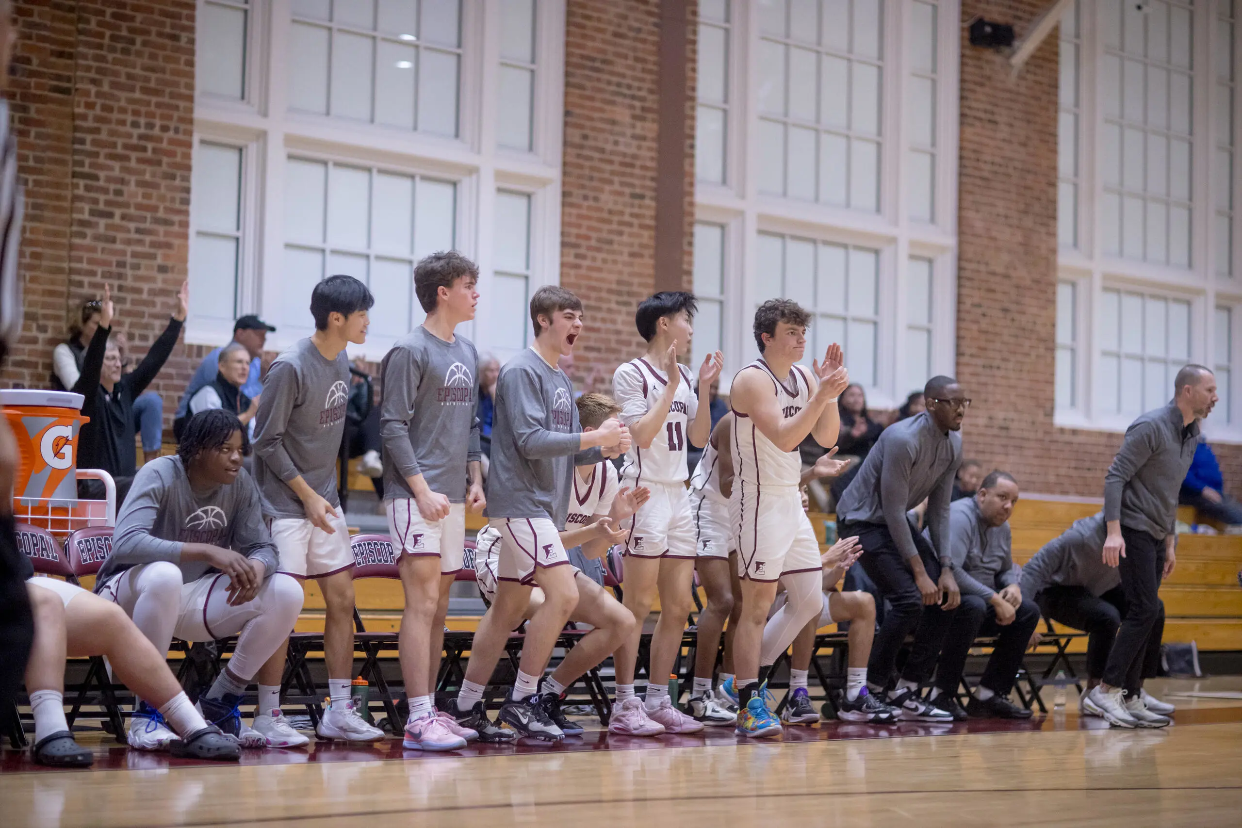  OptimizedImage,Optimized