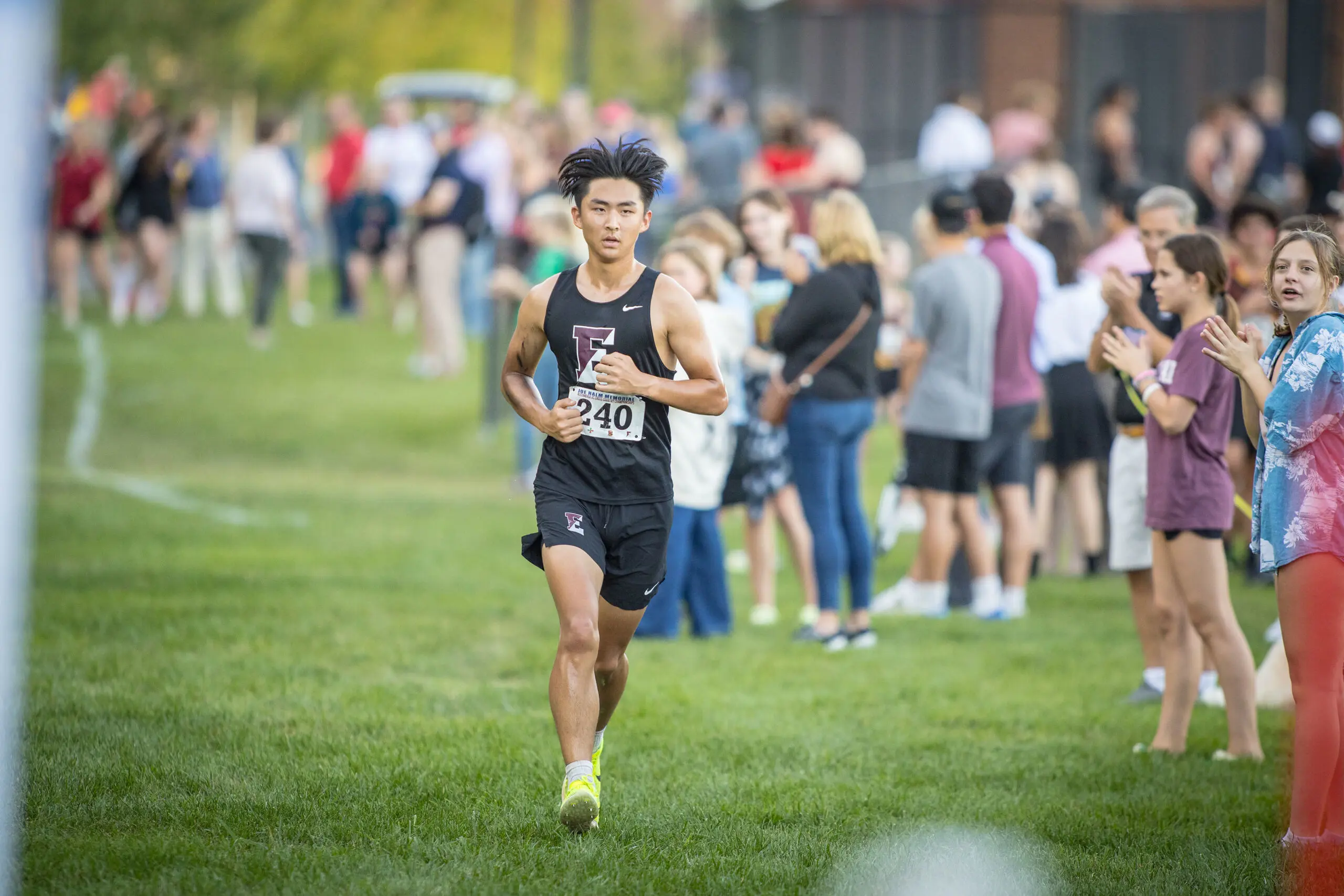  OptimizedImage,Optimized