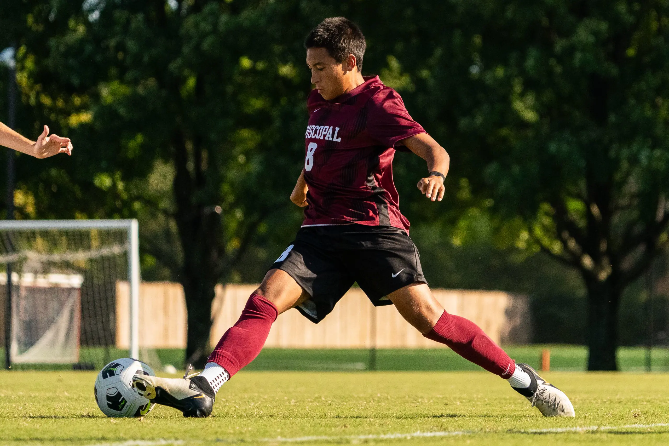 OptimizedImage,,,Optimized