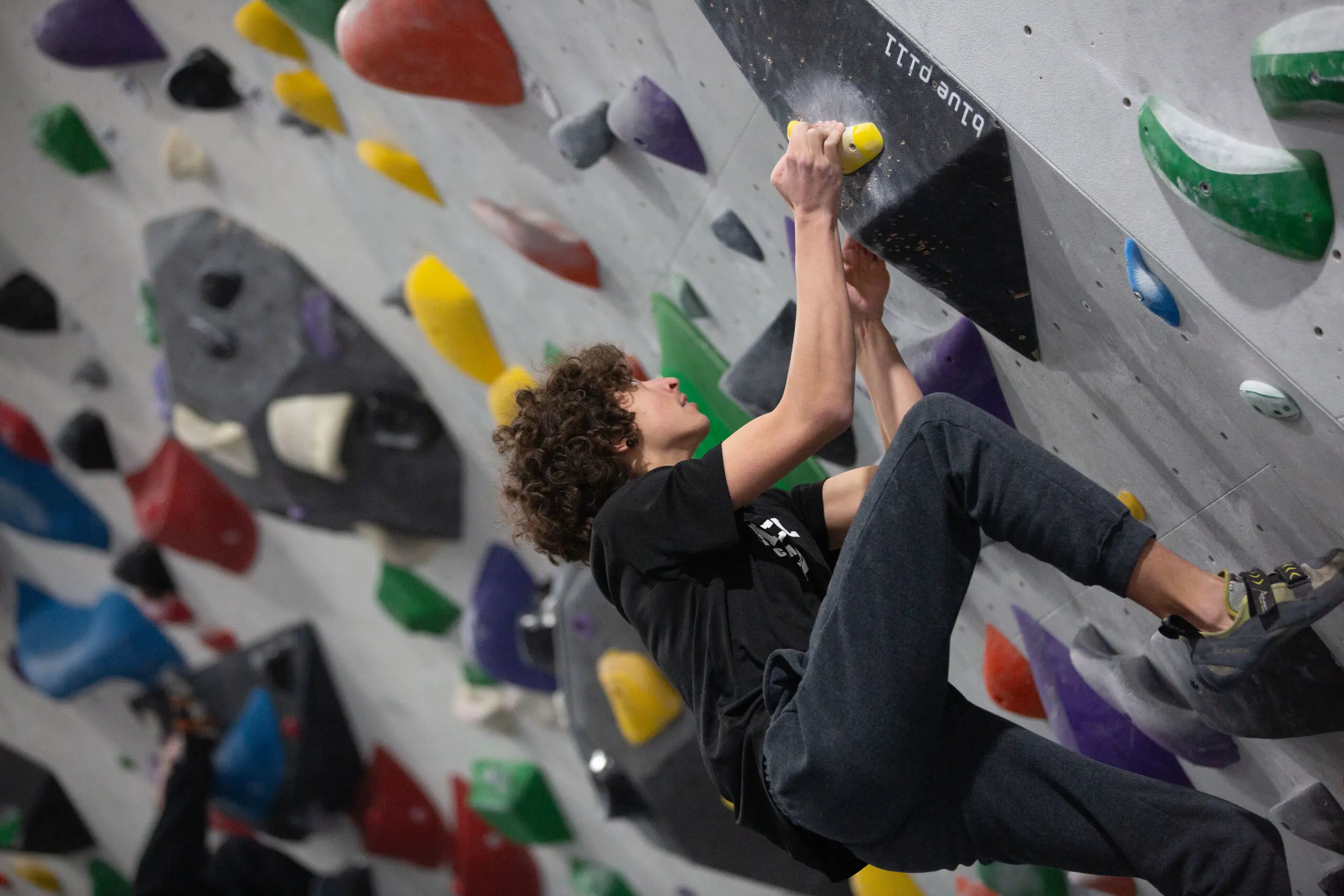  OptimizedImage,Optimized