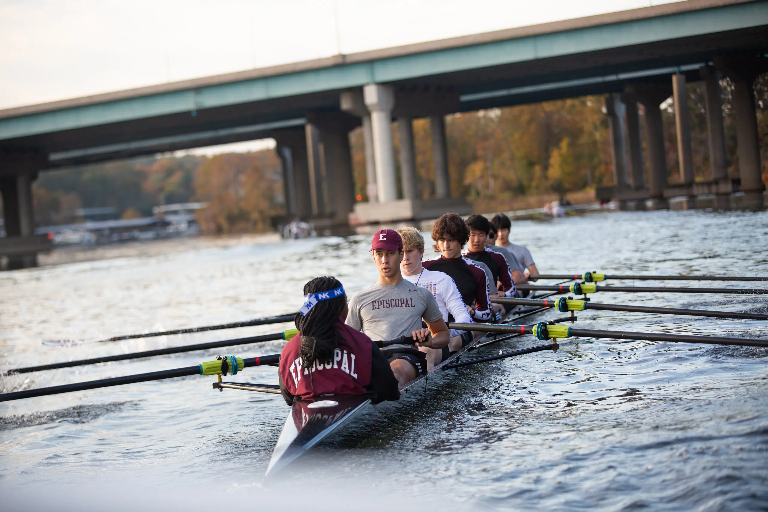  OptimizedImage,Optimized