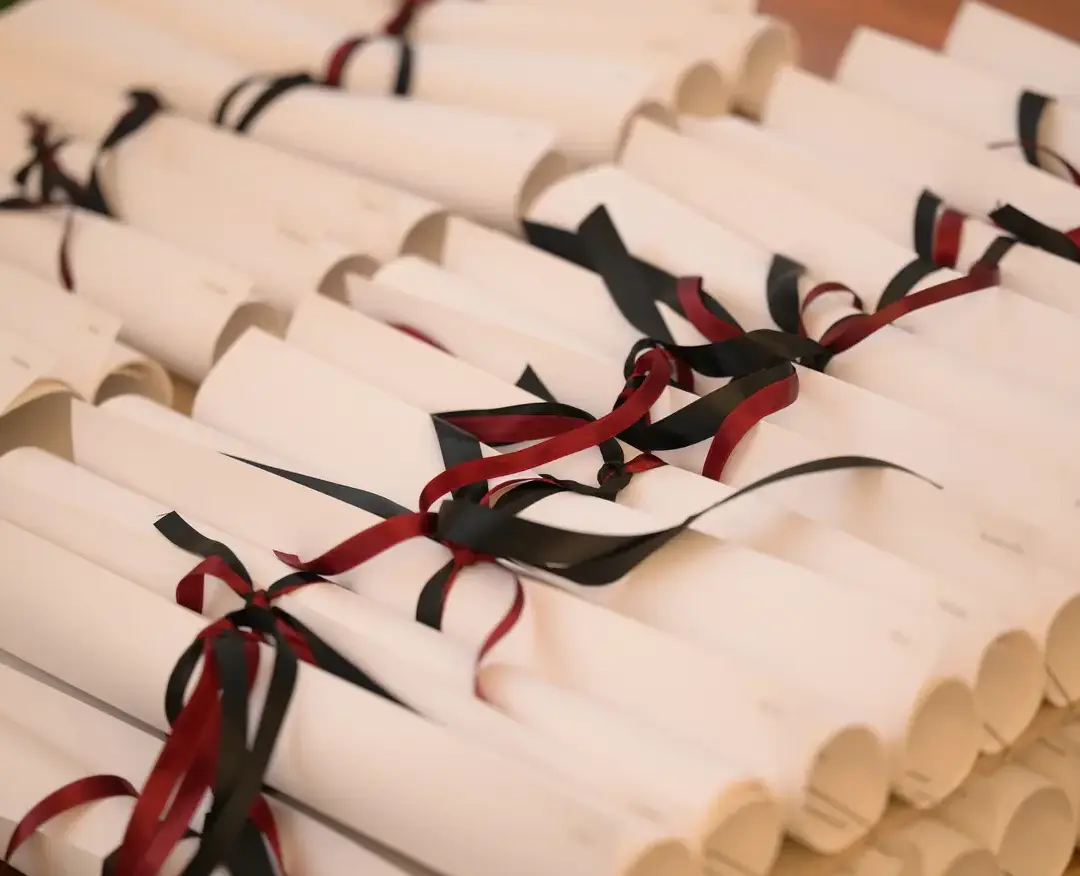 A close-up of rolled diplomas tied with red and black ribbons, neatly arranged for a graduation ceremony.
