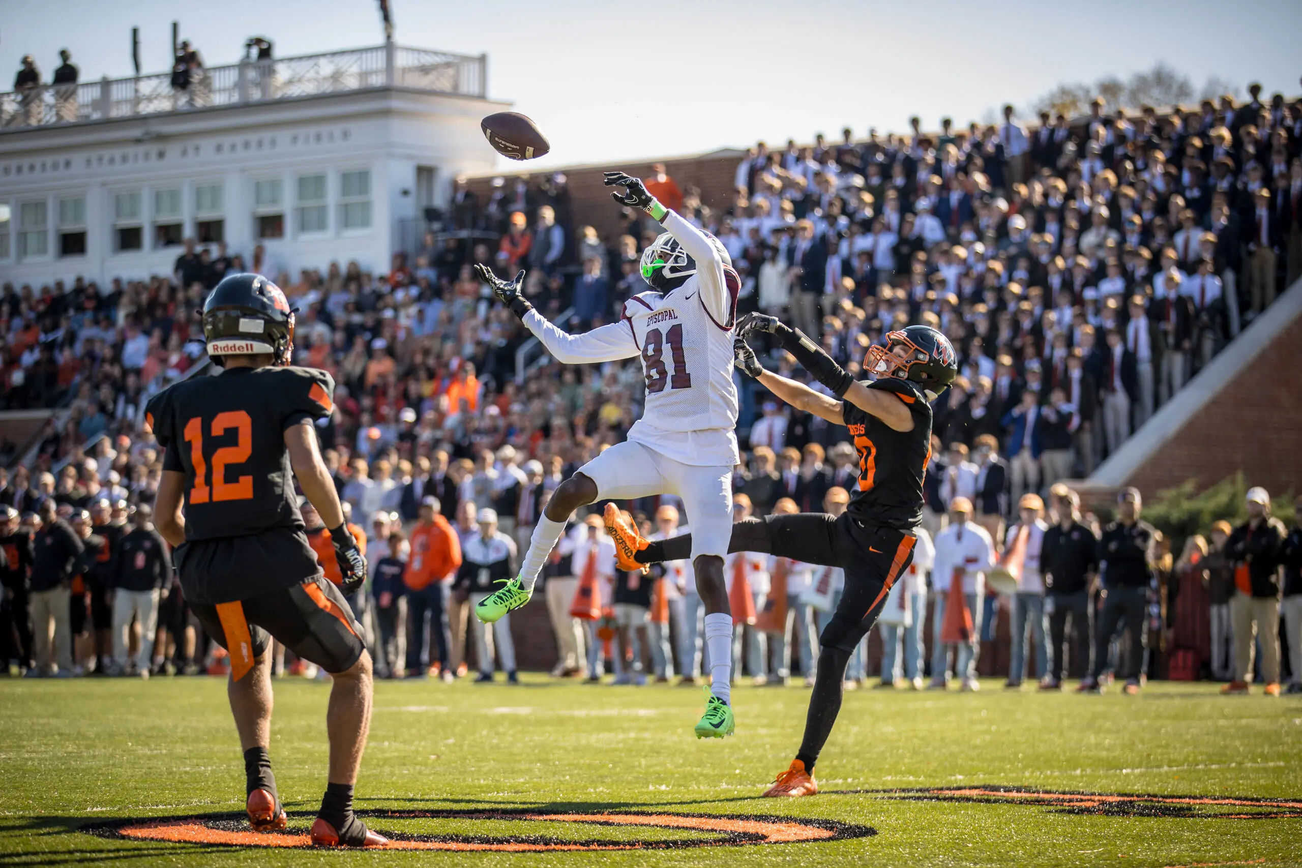  OptimizedImage,Optimized