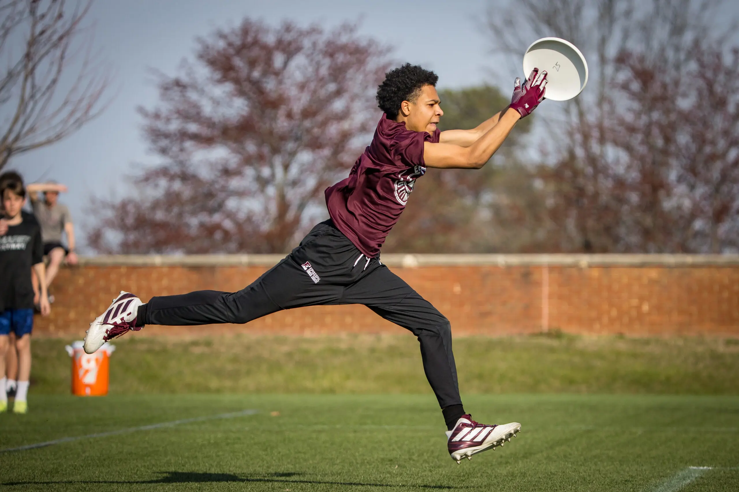  OptimizedImage,Optimized