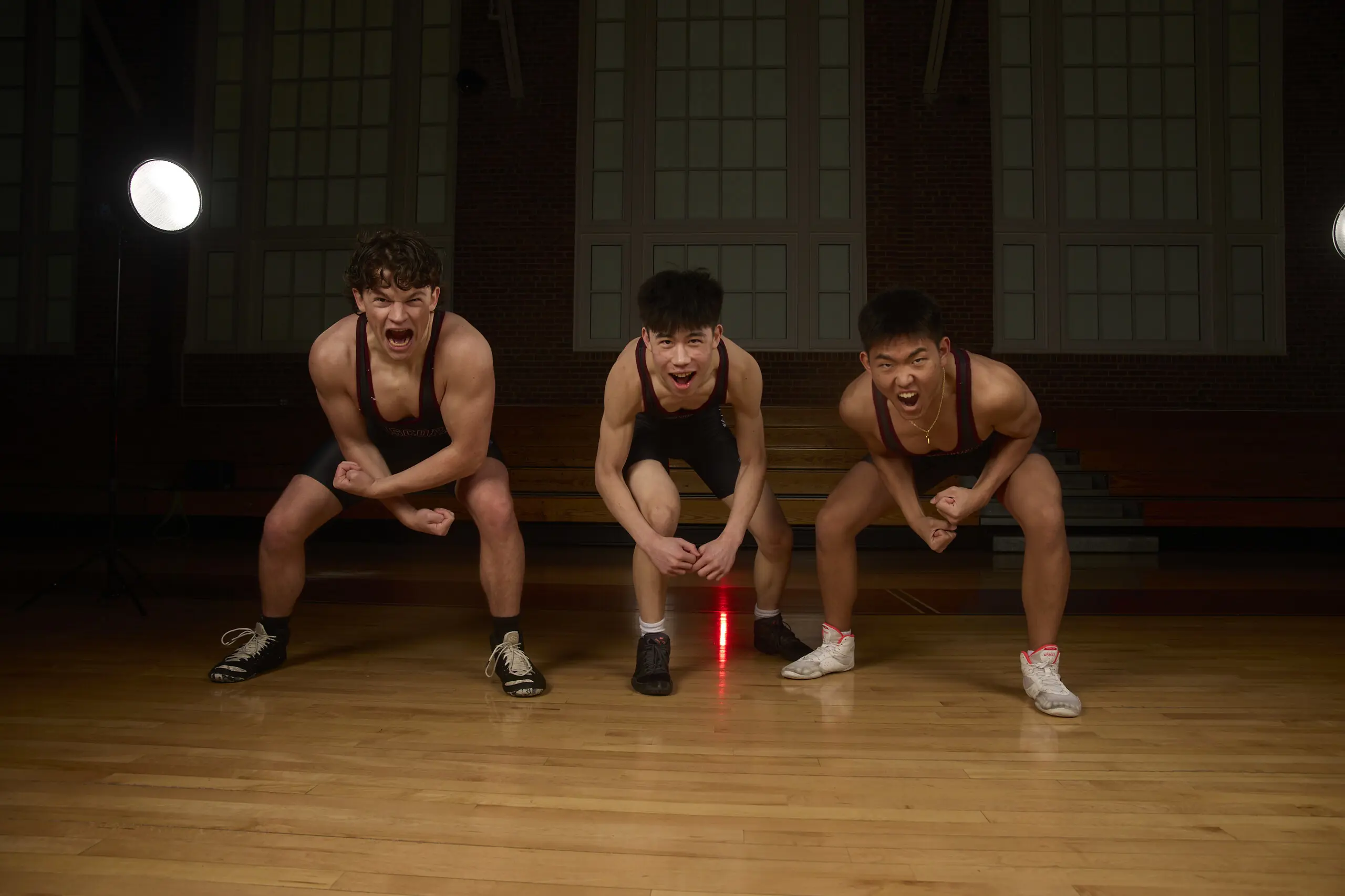  OptimizedImage,Optimized